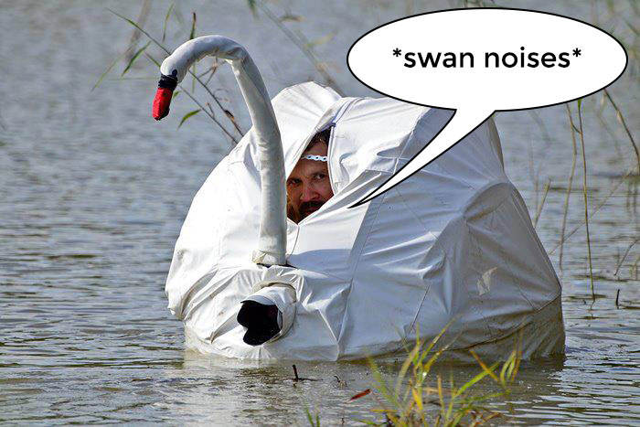 15-04-15-hi-swan-friends-anyone-want-customer-experience-software