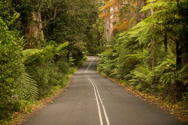 the-mechanics-of-cx-03-jungle-road